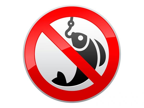 Где нельзя ловить рыбу: запретные места и причины